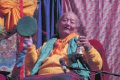 Rinpoche 4