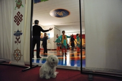 Roma. 17/03/2012: Centro Zhenphenling, Comunit‡ Dzogchen - Merigar West. Giornata mondiale della danza Vajera..©Andrea Sabbadini